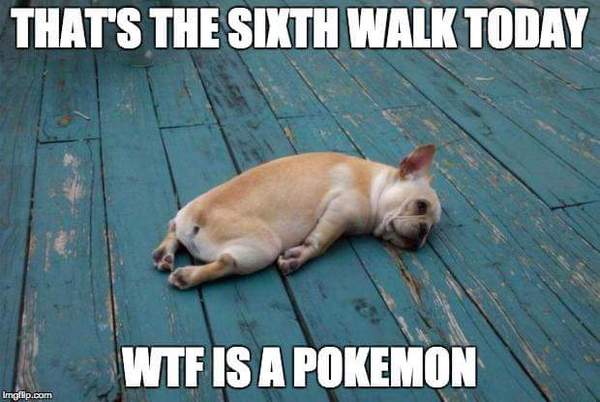To not let my 13 year old get Pokemon go