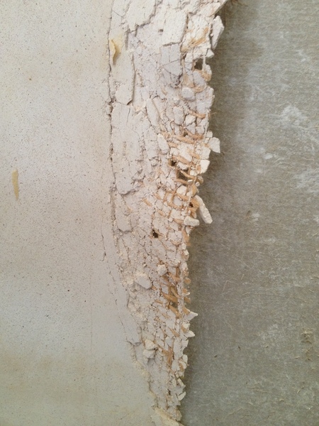 Whats this board type under the plaster? (Pic included)