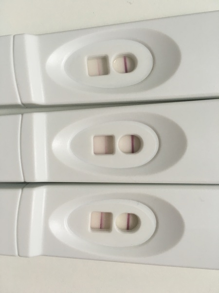 Positive opk after a miscarriage