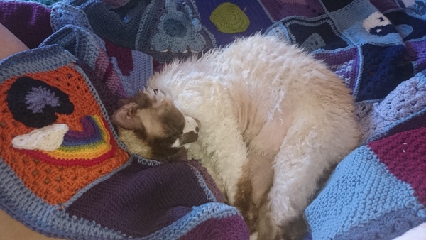 Woolly Hugs...We are making a blanket for RubbishMantra : Lovely donors and crafters, we need your help.