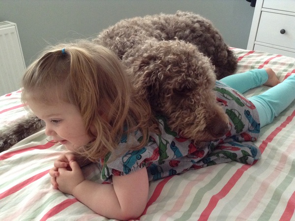 Share your dog's CV - chance to win £300! NOW CLOSED