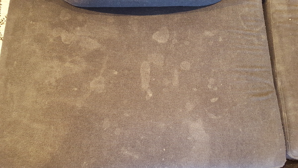 Help!! I've ruined my wool sofa. ....