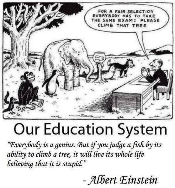 so my son failed his SATs and thinks he's stupid.