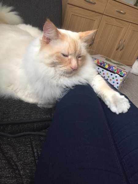 I can't think of a witty title, so here is July's Frugaleer Thread! All welcome.