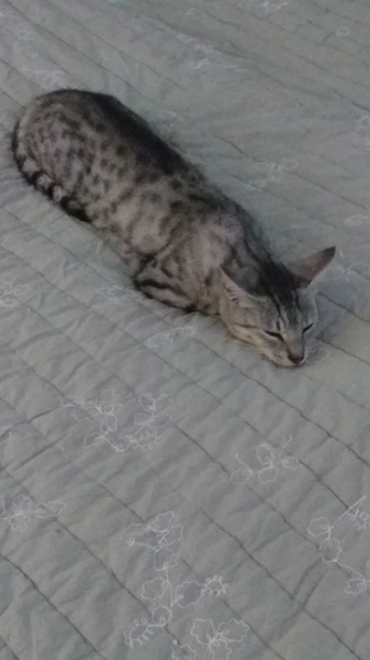 Who's got a hot pussy?