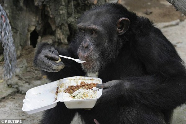 to think that you shouldn't eat smelly food on a flight?!