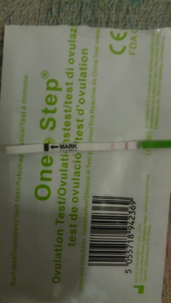 Would you say this opk is positive?