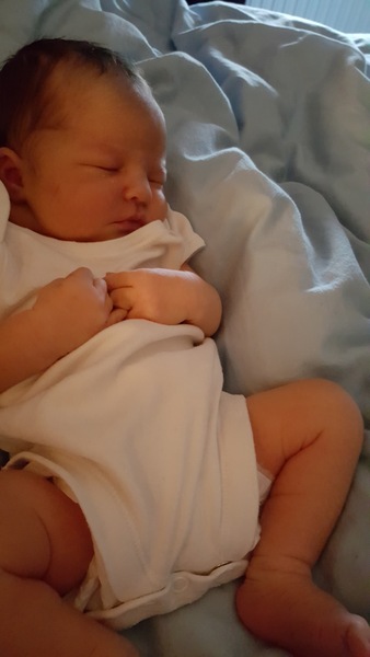 July 2016 (10) - the final thread for bumps!