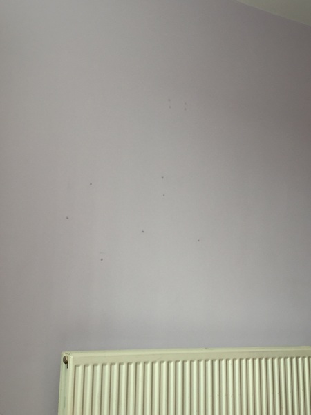 greasy blu-tak marks