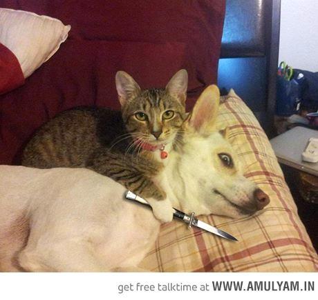 Or is my neighbour being ridiculous?!