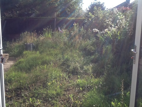 How much Time/money/ effort have you put into your garden?