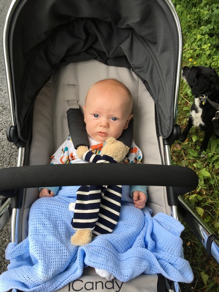 March 2016 - I can't think of a pithy title because I'm too sleep deprived :/