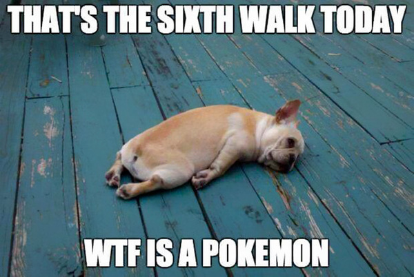 about Pokemon Go...