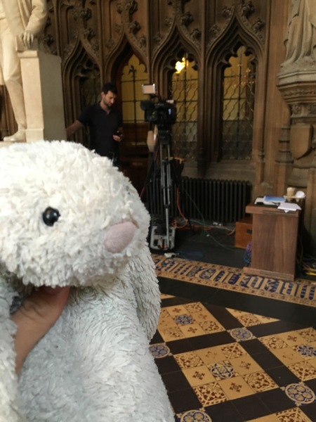 Found a toy bunny outside the House of Commons