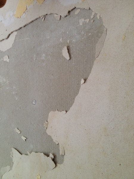 Whats this board type under the plaster? (Pic included)