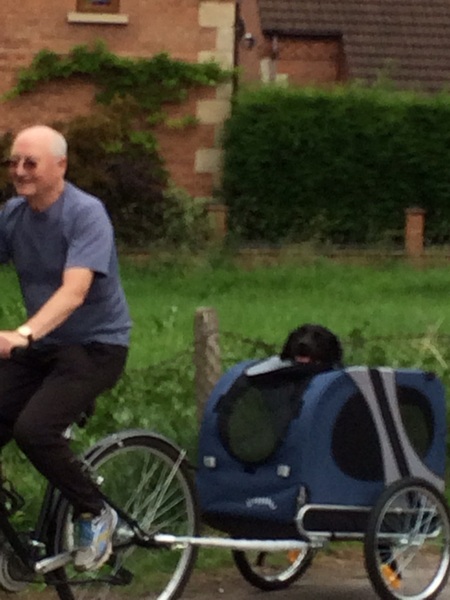 Dog pushchairs