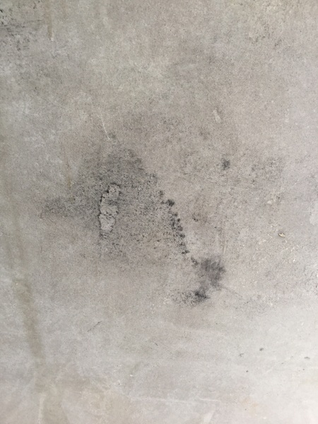 Help and advice on Edwardian house renovation please
