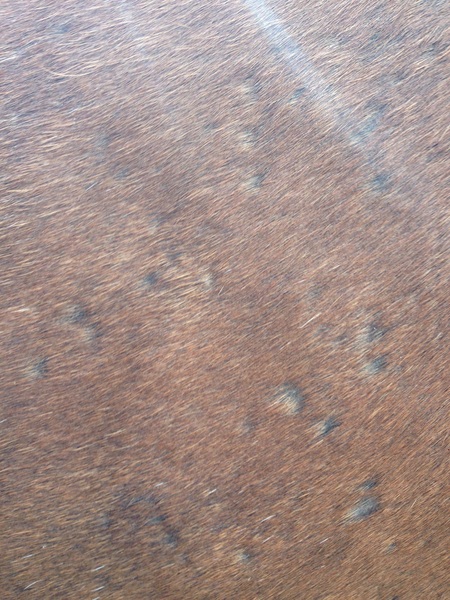 any idea what this is?