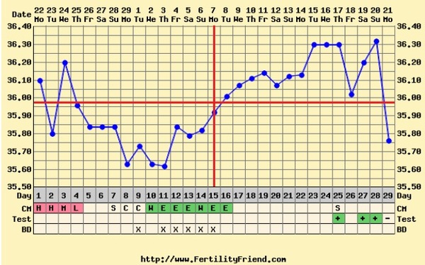 Fabulous forty + ttc and having success!