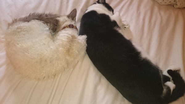 Who's got a hot pussy?