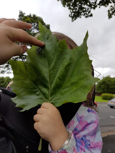 Zombie Continues Her Shuffle Into Spring