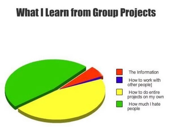 College group project, one just didn't bother - AIBU to tell the lecturer?