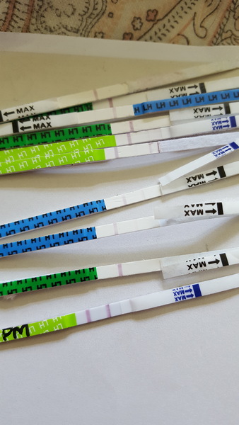 Calling all opk experts...(warning, pics included)