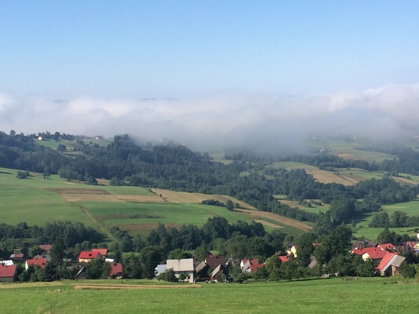 Brave Babes Battle Bus - Holding our heads up like thistles