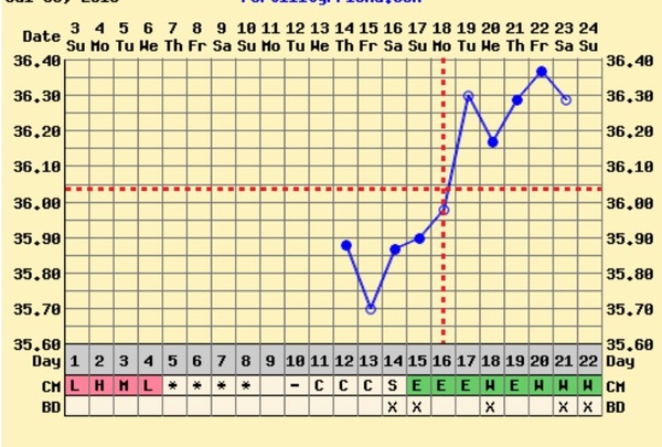 So... What the fucking fuck is going on here??