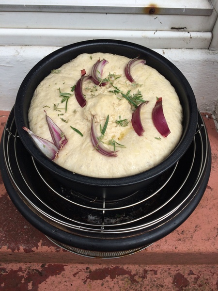 Cobb bbq owners - advice please!