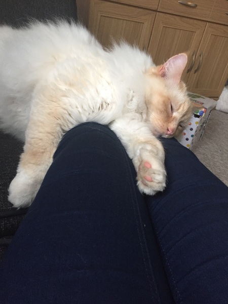 I can't think of a witty title, so here is July's Frugaleer Thread! All welcome.