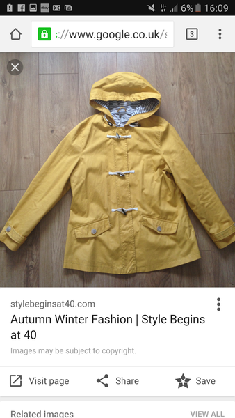 Can anyone help me track down a (similar) raincoat?