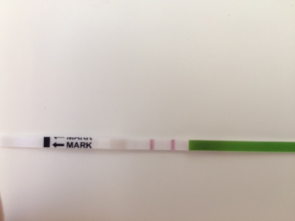 Positive opk after a miscarriage