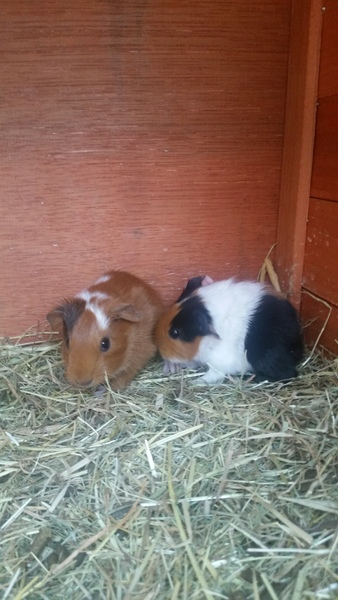 Trevor has had babies (pictures)