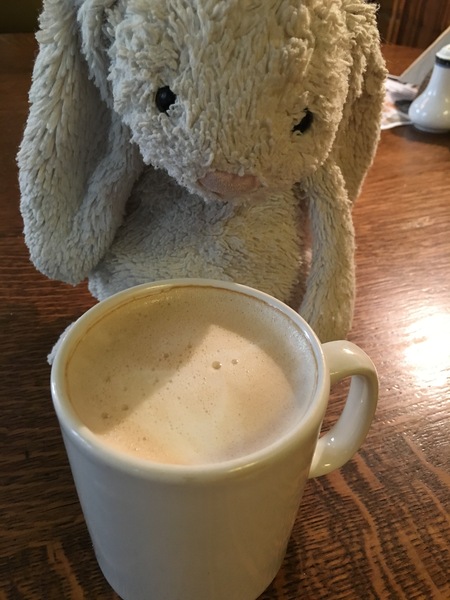 Found a toy bunny outside the House of Commons