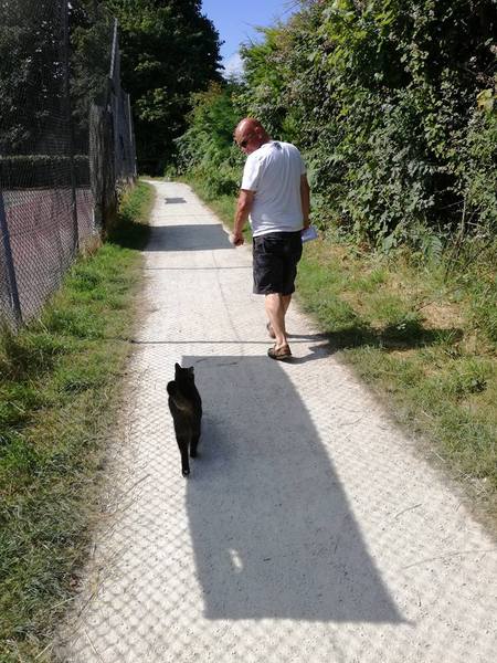 So today boy cat had an adventure