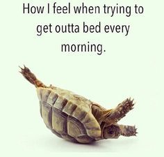 Thread #9 - TTC#1 grads thread - it's the final countdown