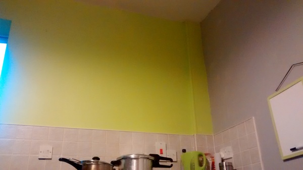 What do you have above your free standing cooker?