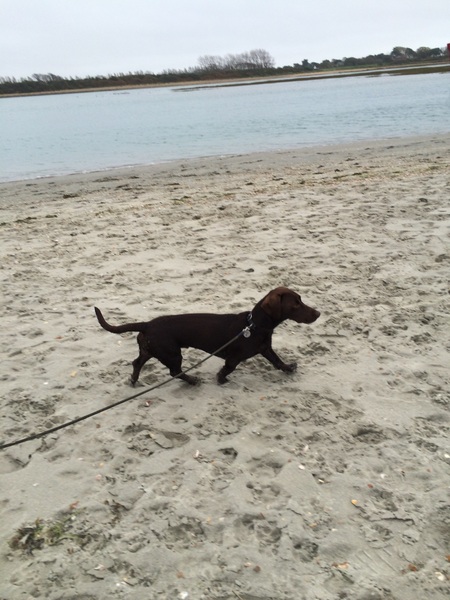 February 2017 - Thread 4 (are we the chattiest bunch or what?!)