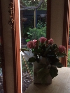"in the midst of winter, I found there was within me, an invincible summer" Potting shed chat continues here