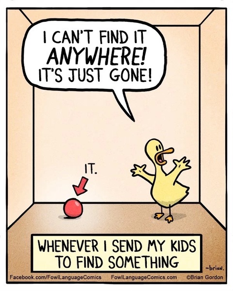 DD(6) seems unable to "find" misplaced toys