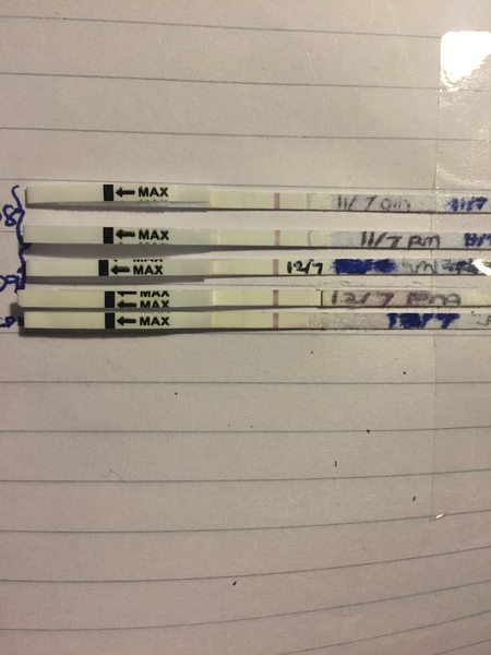 Calling all opk experts...(warning, pics included)