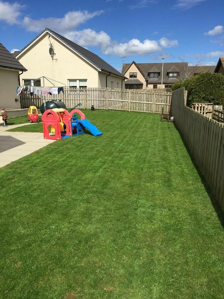 Oh god, my new lawn (pic attached)