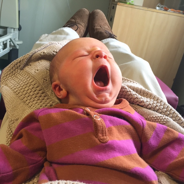 July 2016 (10) - the final thread for bumps!