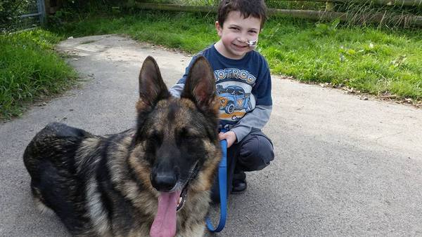 Brave Babes Battle Bus