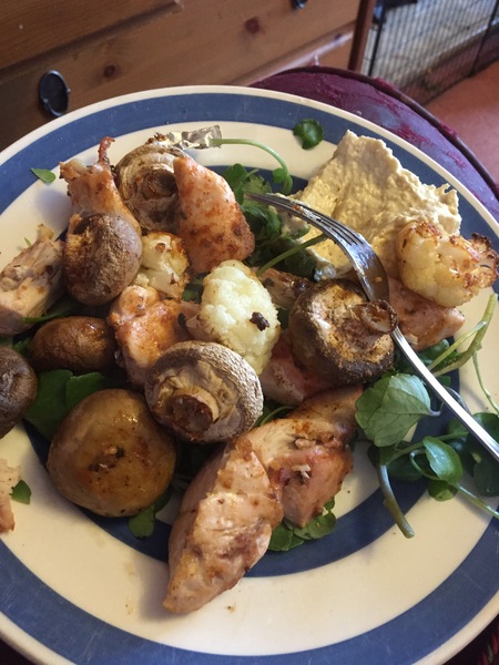 My big fat 800 calorie blood sugar diet diary, all welcome