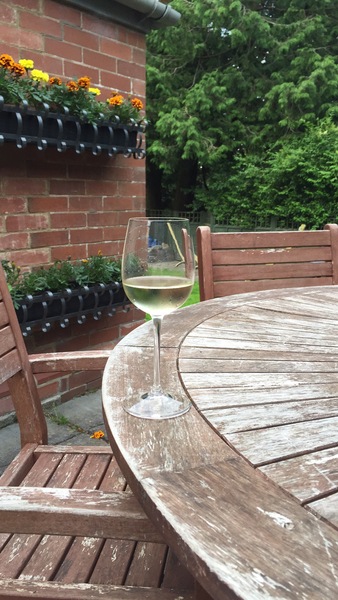 December 2016 babies - thread #4 - blooming in trimester 2!