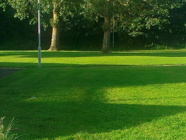 Kids out playing