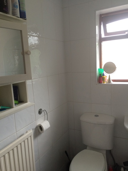 Re-designing small bathroom