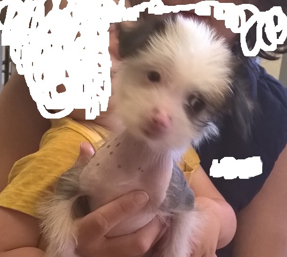 Another need help with a name thread